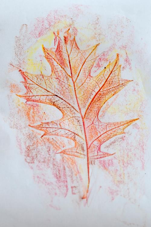 Crayon Leaf Rubbings
