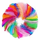 Coceca 300pcs Colorful Feathers 3-5 Inches Bulk Feathers Assorted Colors for Crafts DIY, Art Projects, Party Decorations, Dream Catchers