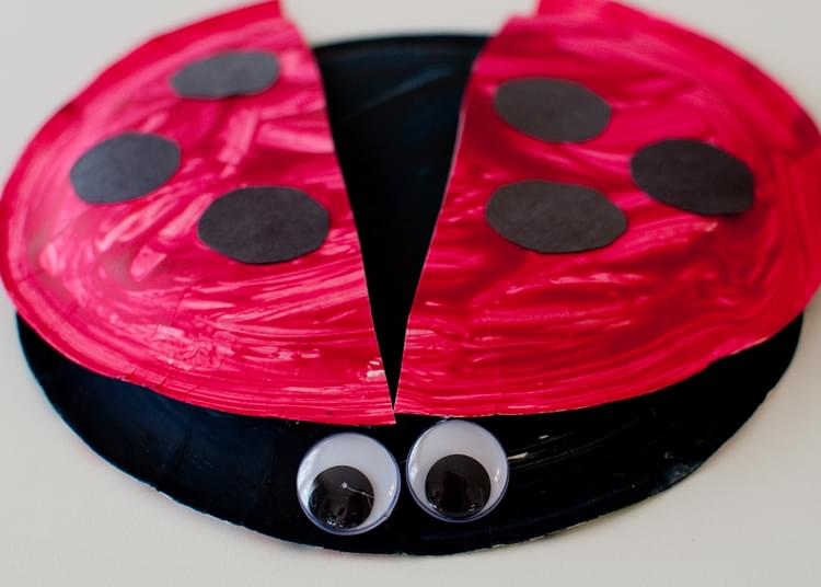 Paper Plate Ladybug