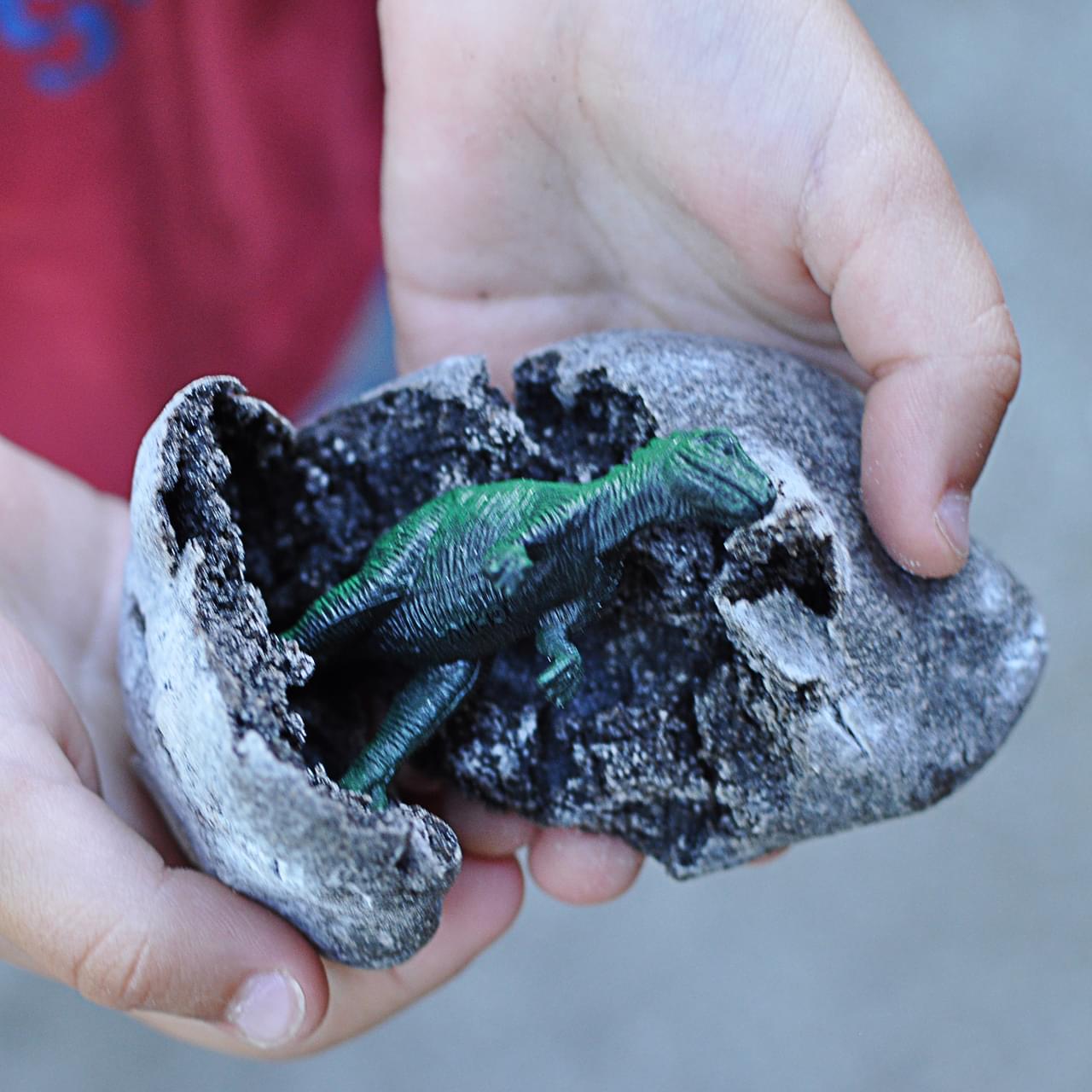 dinosaur egg hatching 2021