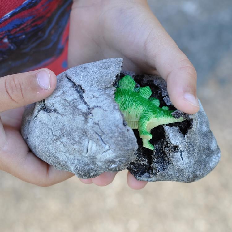 Dinosaur eggs in your backyard - Rosie Research