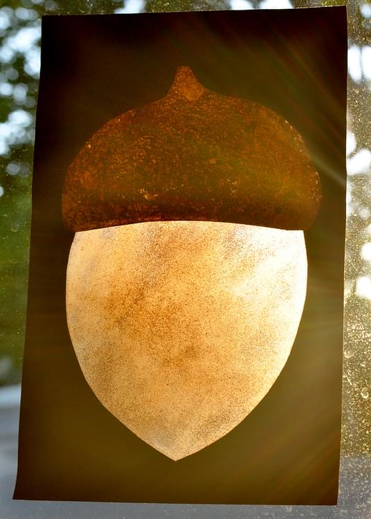 Acorn Cinnamon Sun Catchers