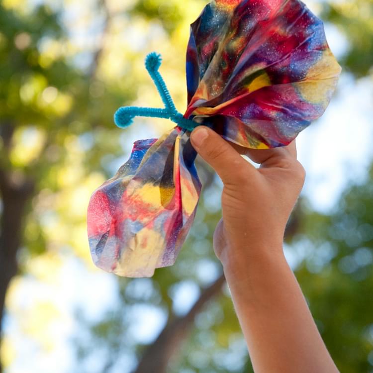 Coffee Filter Butterfly